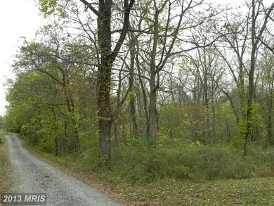 0 Jamestown Rd unit 1003748948, Summit Point, WV 25446 - photo 5