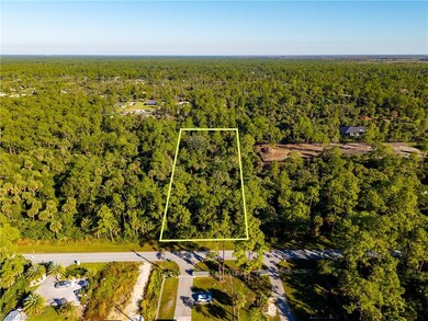 4431 16th Ave SE, Rural Estates, FL 34117 - photo 2