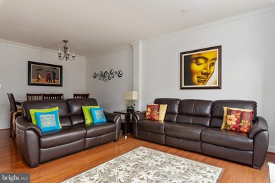 8892 Purple Iris Ln, Elkridge, MD 21075 - photo 4