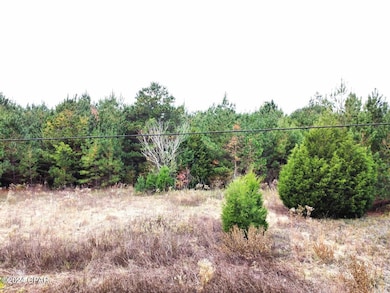 xxx Freeman Rd, Bristol, FL 32321 - photo 6