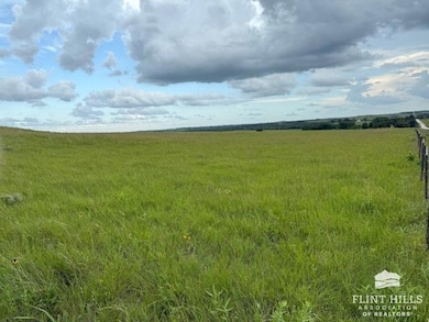 25299 Windy Hill Rd, Maple Hill, KS 66507 - photo 4