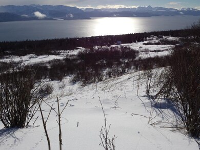 2-17-14 Jacks Homer property (2)