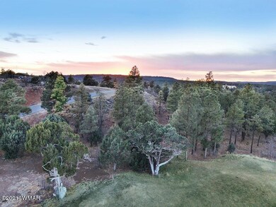 3400 Sage Ln, Show Low, AZ 85901 - photo 7