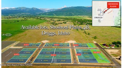 Shoshoni Plains Not Branded