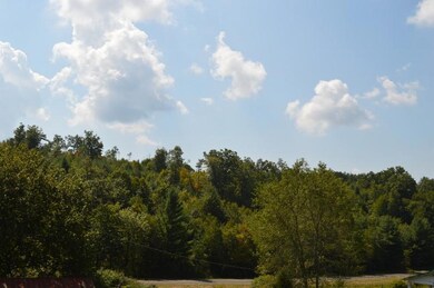 DSC_0304 (800x532)
