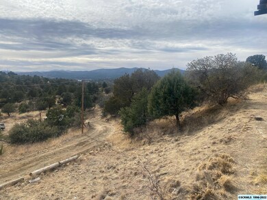 5105 Big Bend Roads, Silver City, NM 88061 - photo 3