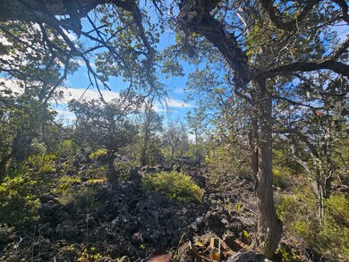 0 Coral Pkwy unit 724318, Ocean View, HI 96737 - photo 5