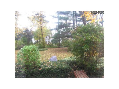 Great private backyard!!!!