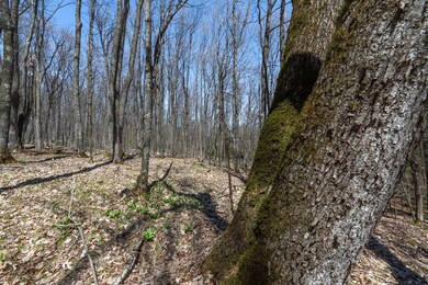 Lot11-13 Red Fox Rd, Presque Isle, WI 54557 - photo 7