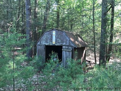 611 Buck Rd, Stone Ridge, NY 12484 - photo 4