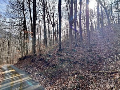 000 Heather Way unit 10, Waynesville, NC 28786 - photo 3