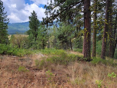 Wooded
