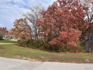 Lot 81 Village Ln, Hickory Grove Township, MO 63348 - photo 3
