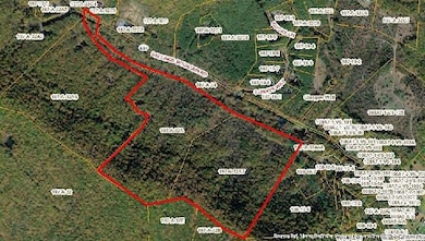 TBD Sallings Mountain - Large Aerial Vie