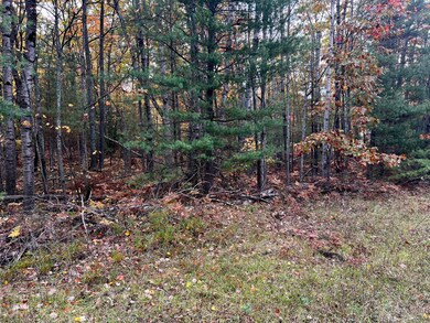 2534 E Mullett Lake Rd, Indian River, MI 49749 - photo 4