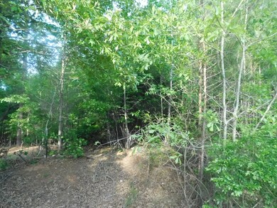 0 Parton Dr unit 469149, Lincolnton, GA 30817 - photo 2