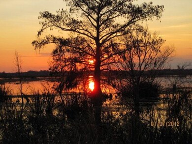 Tolomato Sunset