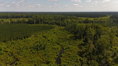 DJI_20250611102817_0054_D