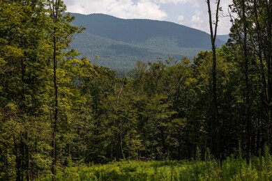 0 Foote Rd unit 5053891, Dorset, VT 05251 - photo 3