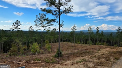 75 Elkton Ct, Ellijay, GA 30540 - photo 5