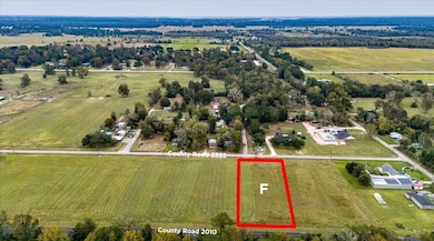 TBD, Liberty, TX 77575 - photo 6