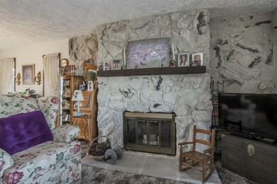 IMG_0904