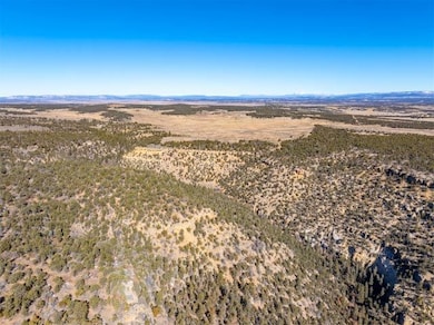 0 Nsn Forest Road 131 C unit 25747171, Tierra Amarilla, NM 87551 - photo 7