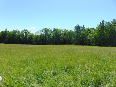 0 Goldfoot Rd unit 202020016, Glenville Tov, NY 12302 - photo 2