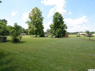 3655 Highway 19, Conway, SC 29526 - photo 5