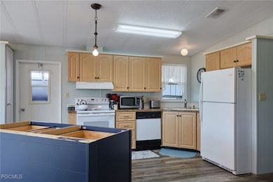 15 Ilex St, Alva, FL 33920 - photo 7