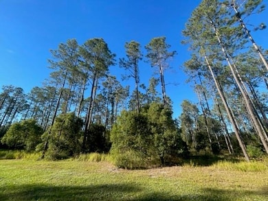 0 SE Corner of Holly Lane & S R 597 Ln unit MFRT3488610, Lutz, FL 33558 - photo 4