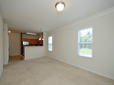 531 Appeldoorn Cir unit 531, Asheville, NC 28803 - photo 7