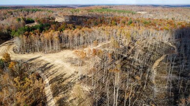 0 Firetower Rd unit 2, Centerville, TN 37033 - photo 2