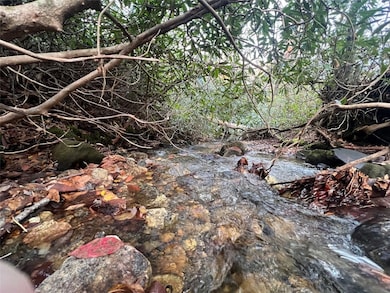Rushing creek on greenbelt area adjoining Lot 72