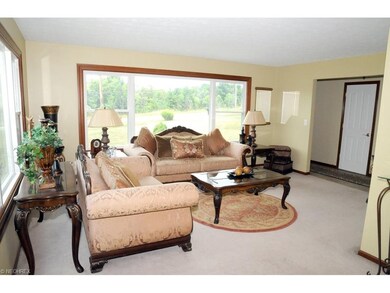 Nice view from large living room