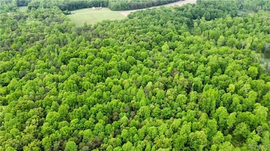 TBD Boxley Rd, Ruther Glen, VA 22546 - photo 6