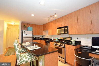 1115 Primrose Ct unit 103, Annapolis, MD 21403 - photo 6