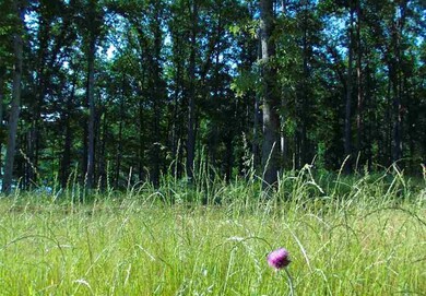 Lot 16 Little Keowee Bay, West Union, SC 29696 - photo 7
