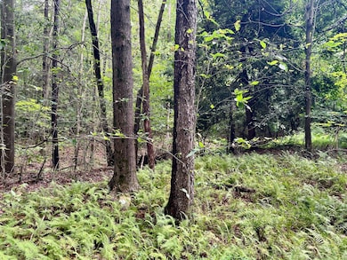 0 Benjamin Franklin Hwy, Ebensburg, PA 15931 - photo 3