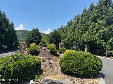 0 River Rapids Way Lot 5 Way, Del Rio, TN 37727 - photo 6