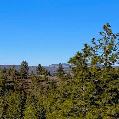 31775 Ruffed Grouse Dr E, Davenport, WA 99122 - photo 7