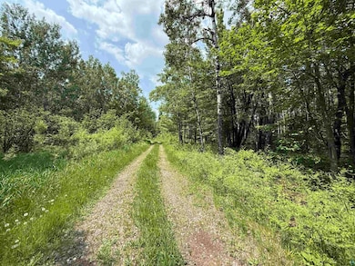 View of road featuring a wooded view