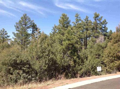 4650 S Manzanita Way, Show Low, AZ 85901 - photo 5