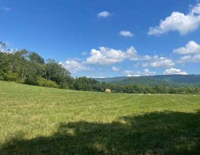 0 County Road 494, Bryant, AL 35958 - photo 5