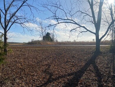 View from front porch