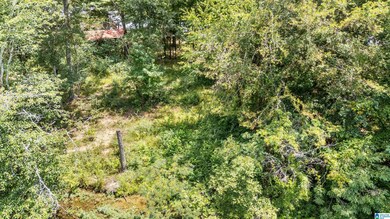 Lot 7A Hebb Rd, Wilsonville, AL 35186 - photo 7