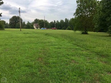 394 Gr 633 Rd, Paragould, AR 72450 - photo 3