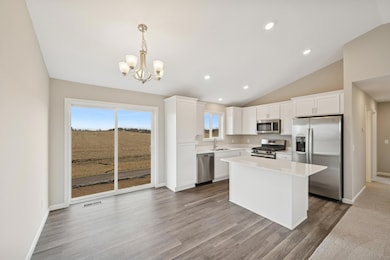 919 Brandenburg Ln, Waverly, MN 55390 - photo 6