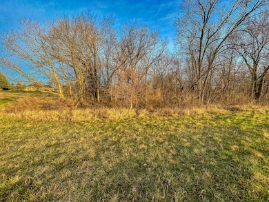 23-122 Lake Carroll Blvd, Lanark, IL 61046 - photo 3