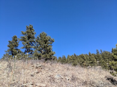 West side of property
